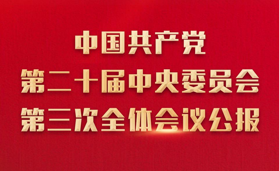 中国共产党第二十届中央委员会第四次全体会议公报