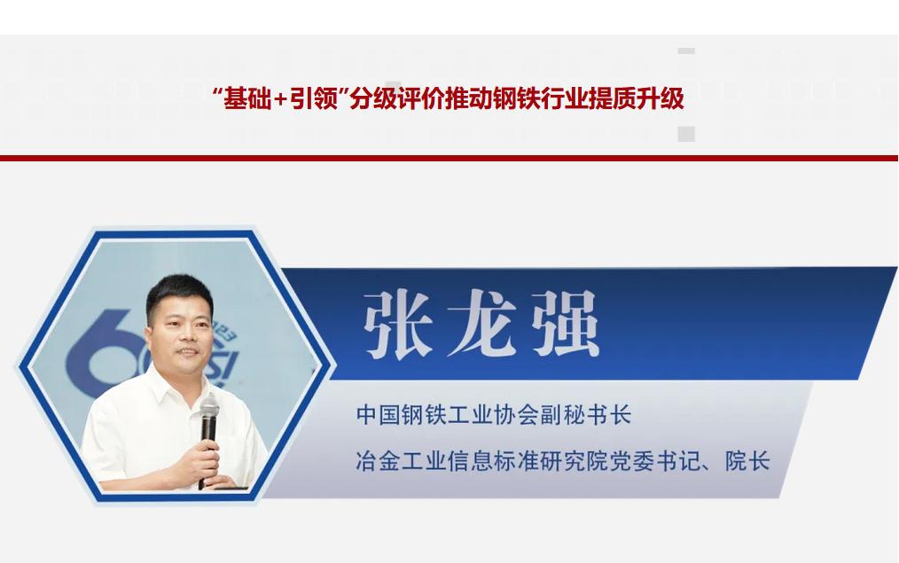 张龙强：“基础+引领”分级评价推动钢铁行业提质升级